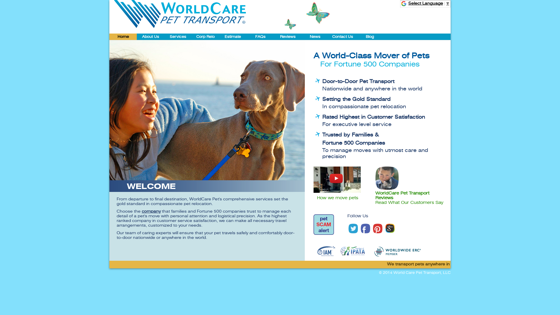 WorldCare Pet Transport